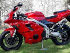 Triumph Daytona 955i Special Edition